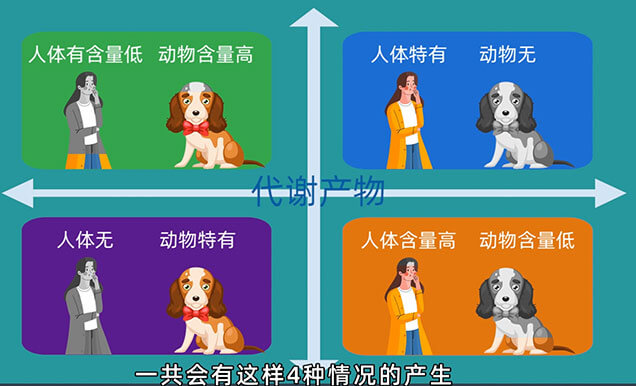 在PK-TK研究中，什么情况下需要做代谢产物监测以及代谢产物安全性试验（MIST）.jpg