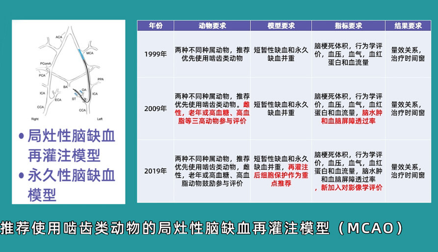 袁云云博士：啮齿类动物脑卒中疾病药效成药性评价系统（2）.jpg