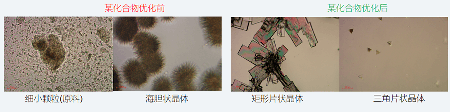 05案例分享-单晶培养，改变晶习.png