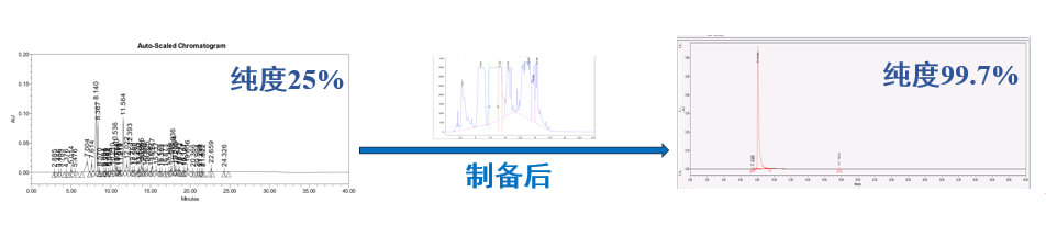 案例一：仿制药发补：大极性杂质制备.jpg