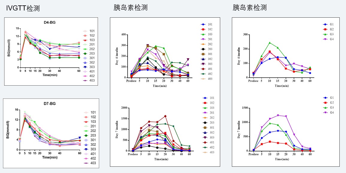 案例4：食蟹猴IVGTT和胰岛素检测实验.jpg