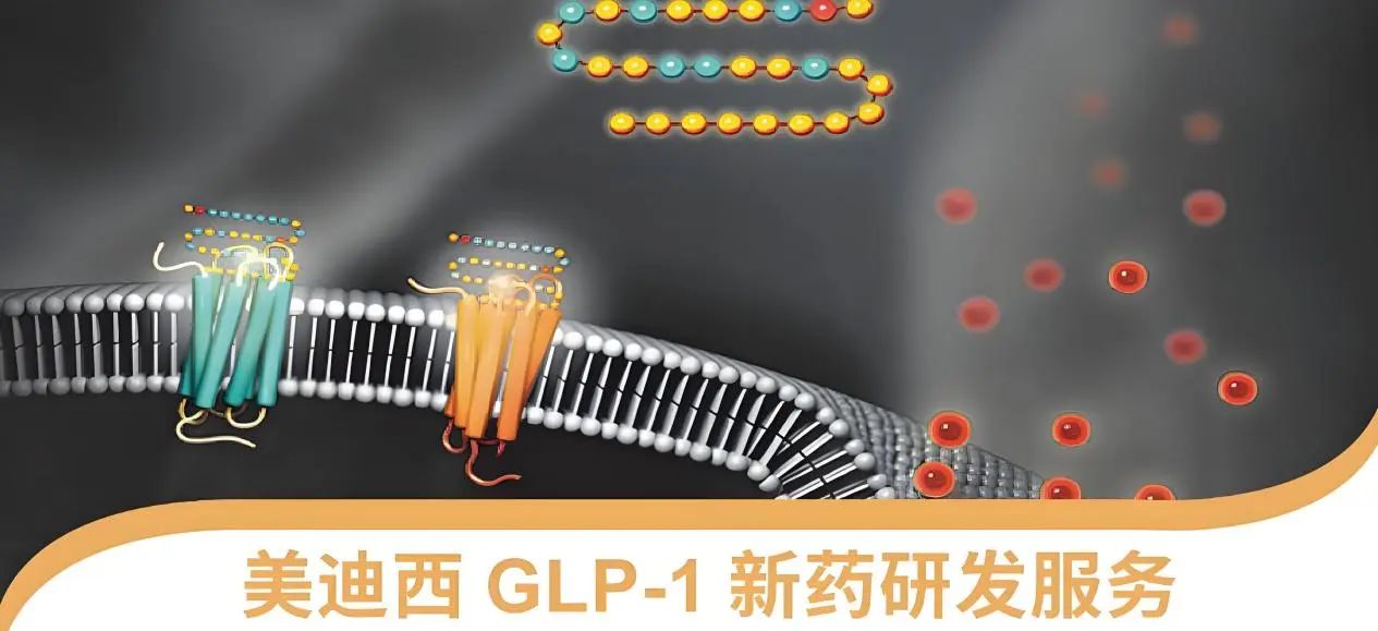 70.5%的成人正在悄悄长胖！国家卫健委“减肥令”下，GLP-1药物如何突围？